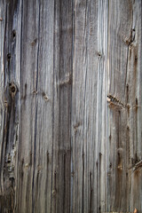 Textura de madera deteriorada con surcos diversos