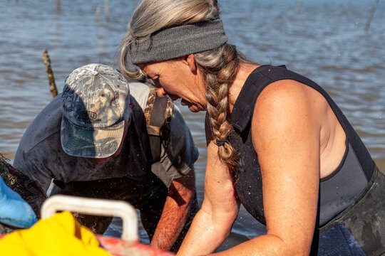 Clamming in Bull's Bay with Julie McClellan, Erwin Ashley and George Couch.