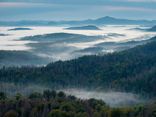 Foggy morning mist in valley. Misty landscape mountain