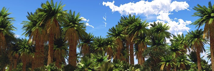 Fototapeta na wymiar Palm trees against the sky with clouds, 3D rendering