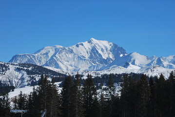 snow covered mountains