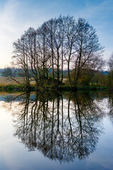 Fototapeta na wymiar Trees reflected in lake