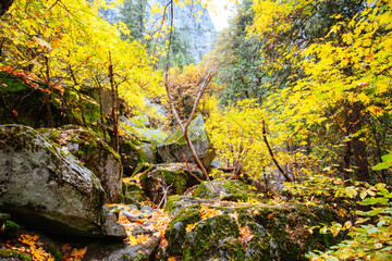 Yosemite Valley and Camp Curry in USA