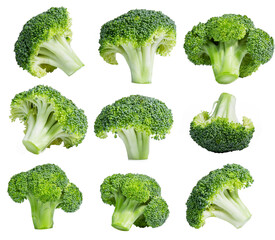 Fresh broccoli in closeup isolated on white background