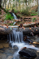 Forest Waterfalls in Autumn. Bell Brook, Bewdley
