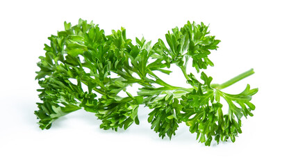 Parsley isolated on white background