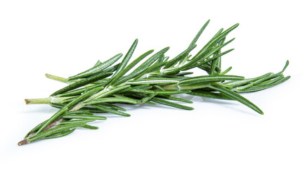 Fototapeta premium rosemary isolated on white background