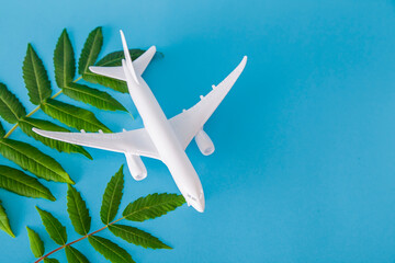 White toy plane with green plant, environmental protection concept. Clean fuel concept