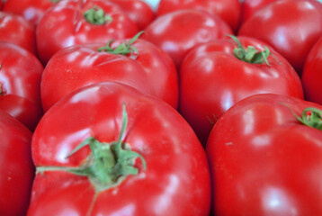 Red tomatoes. Fresh tomatoes  as  background. Top view. Group of tomatoes.