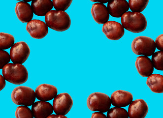 Solid chestnut pattern on blue background with space for your text