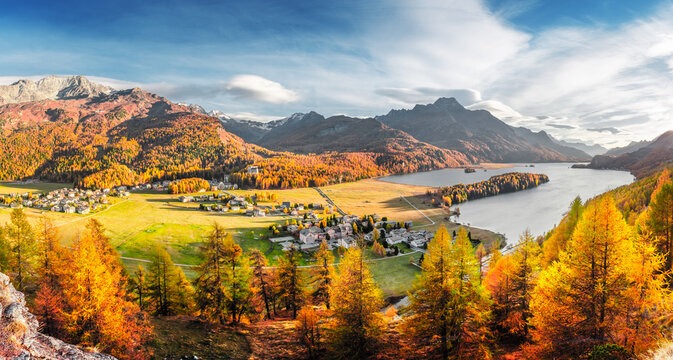 Panorama of Sils village and lake Sils (Silsersee) in Swiss Alps mountains. Colorful forest with orange larch. Switzerland, Maloja region, Upper Engadine. Landscape photography