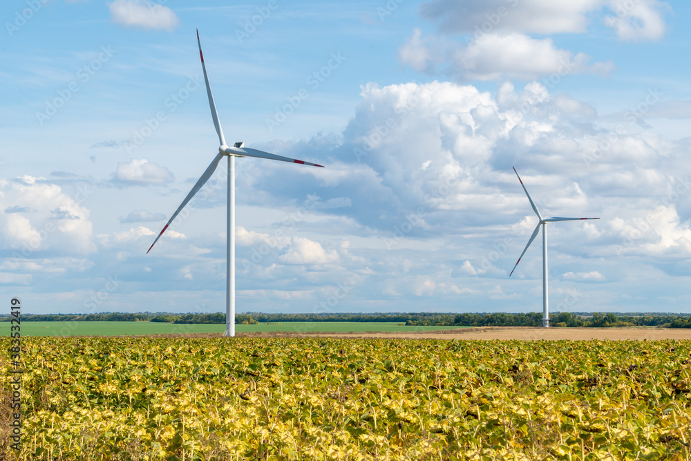 Wall mural wind energy concept. turbines in rural area to supply countryside with electricity. aerial landscape