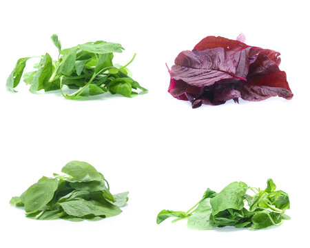 spinach isolated on white background (Mix, set , collection)