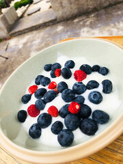 Myrtilles et fraises des bois