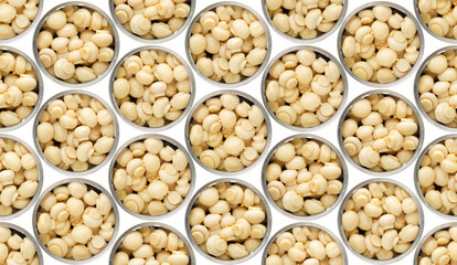 Seamless food background of flat lay view at opened tin cans with button mushrooms isolated on white background. Clipping path added