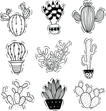 set of cactus with sketch or doodle style