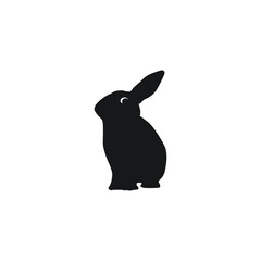 black rabbit isolated on white