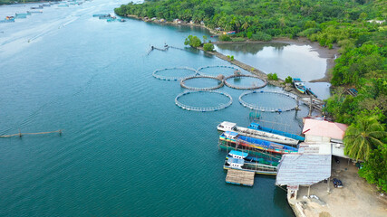 Aerial view of fish ponds for bangus, milkfish. Fish farm, top view. large scale traditional...