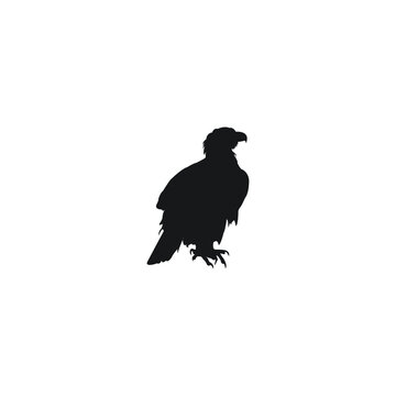 silhouette of a crow