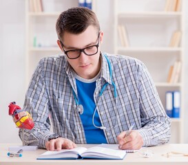 Medical student studying heart in classroom during lecture