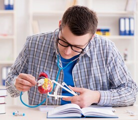 Medical student studying heart in classroom during lecture