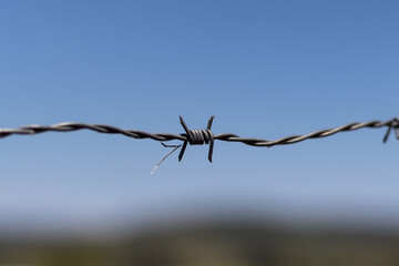 câblage, barbe, clôture, barbelé, ciel, sécurité, prison, aiguisé, sécurité, danger, metals, barbe, bleu, barrière, barbelé, acier, fer, frontière, borne, incarcérer, nuage, liberté, nuage, defendu, g