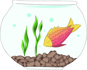 The big fish in aquarium with rocks and seaweeds.