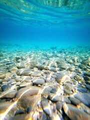 Obraz premium Under the sea