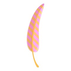Collection feather icon. Cartoon of collection feather vector icon for web design isolated on white background