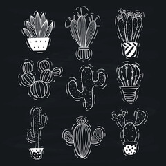 set of hand draw cactus