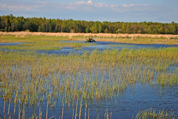 Fishermen in a boat near the shore of the bay