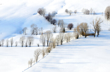 Snowy landscape of Valles Pasiegos, Cantabria, Spain