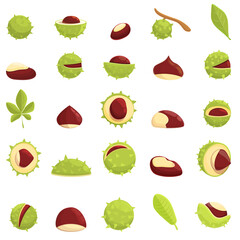 Chestnut icons set. Cartoon set of chestnut vector icons for web design