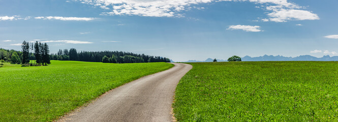 Fototapeta Landstrasse in grüner hügeliger Landschaft obraz