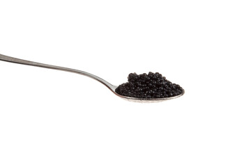 black caviar in spoon, isolated on white