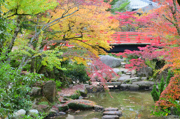 秋の宮島の紅葉谷公園の紅葉ともみじ橋