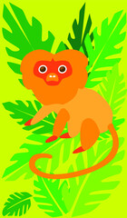 Golden Lion Tamarin