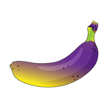 Yellow purple banana gradient in cartoon style, tropical fruit, vector illustration.