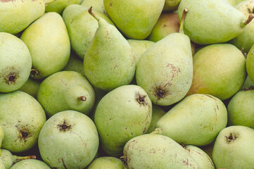 Beautiful pear fruit, close-up, pear background.