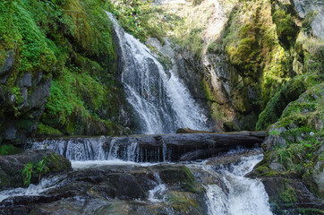 Scenic waterfall on Teletsky Lake
