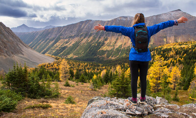 A hiker embracing a viewpoint hike with larch trees in autumn colours near Banff National Park Alberta Canada.