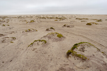 Skeleton Coast desert