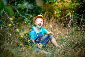 happy boy six years old in blue clothes and hat sitting on the grass in a garden with Apple trees