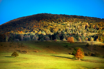 Fototapeta premium autumn in the mountains