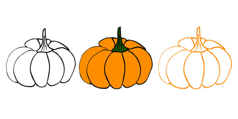 Pumpkin set illustration (line art). Perfect for your halloween/thanksgiving/organic natural design. Vector eps10, objects isolated on white background.
