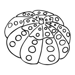 Hand drawn carved pumpkin with holes. Line art, vector eps 10 isolated on white background. Can be used for your halloween design.