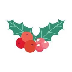 merry christmas, holly berry decoration season, isolated design