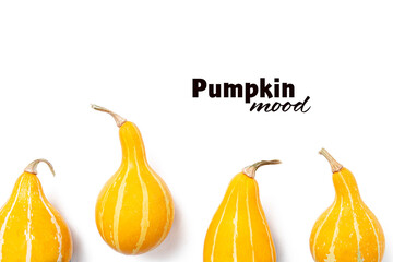 Autumn composition, layout with bright orange, yellow, green pumpkins. Pear-shaped Kleine Bicolor pumpkins. Isolated white background.  Flat lay, top view, copy space. Mock up