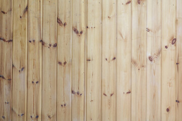 Wooden planks on the fence as a texture.