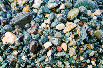 Colorful wet sea stones on the shore close up. Top view, flat lay. Abstract background texture, sea stones in water.